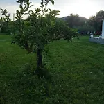 Olbia Grazioso Bilo In Periferia