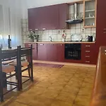 Milly'S House