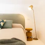 Domus Diemar
