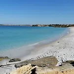 Il Verde Ulivo