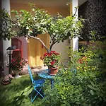 My Little Garden