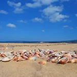Monolocale Il Nido