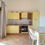 Brorent Casa Del Timo