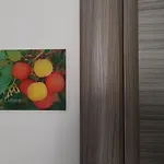 Sa Mama 'E Su Sole