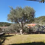 House With Private Garden