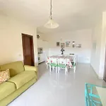 Campania 1