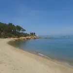Da Tanja