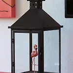 Flamingo'S House