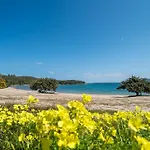 Grazioso Appartamento Fronte Mare 2