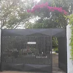 Oasis Natural