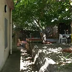 Il Noce Nascosto