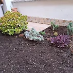 Santa Teresa Gallura Green House