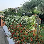 Villa Ibisco