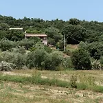 Bosco Littu 2