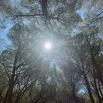 Appartamento In Casa Con Cortili Ad Arbus - Sardegna