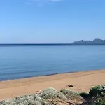 Don Pedro 53