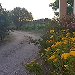 Agriturismo Muristene