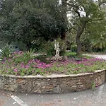 Hotel Garden