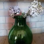 La Cuppulata