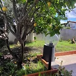 Kokky'S Home