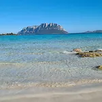 Lu Soli