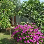 Hotel Club Ragno D'Oro