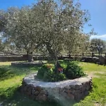 Iloghe Di Marras