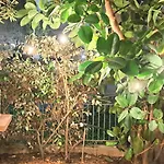 Appartamento Fronte Mare Con Giardino E Barbeque