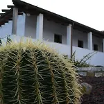 Agave Alghero