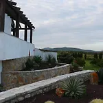 Agave Alghero