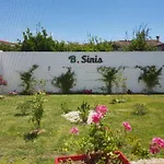 B. Sinis