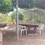 Green House
