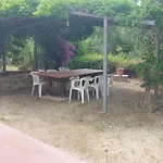 Green House
