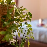 Sardinia Re - Sweet Harmony Apartment