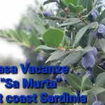 Casa Vacanza Sa Murta