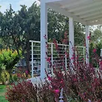 Lido Del Faro