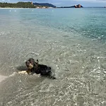 Hotel Baia Cea