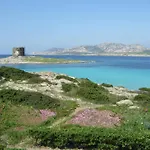 Sardinia Re - Casa Ibiscus