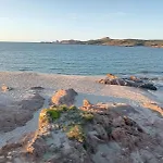 Ulivi 17