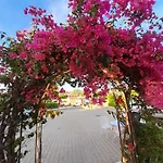 Casa Vacanza Porto Rotondo