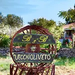 Il Vecchioliveto Di Ornella