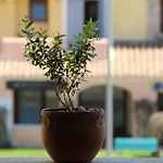 Appartamento Le Vele2