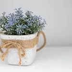 Fertilia 