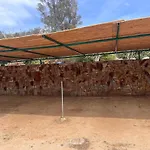 Free Beach Holiday Home