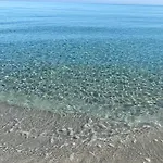Zenzero E Limone