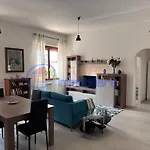 Amsicora 93