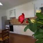 Rosanna House In Bombarde Beach