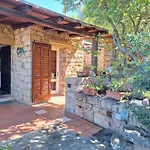 Villa La Lecceta Surrounded By Greenery And Sea View With Sunset
