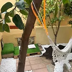 Algher Garden Paradise