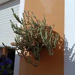 B&B Beranu